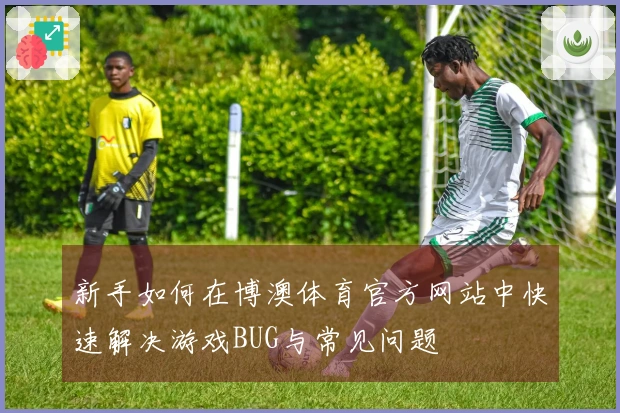 新手如何在博澳体育官方网站中快速解决游戏BUG与常见问题